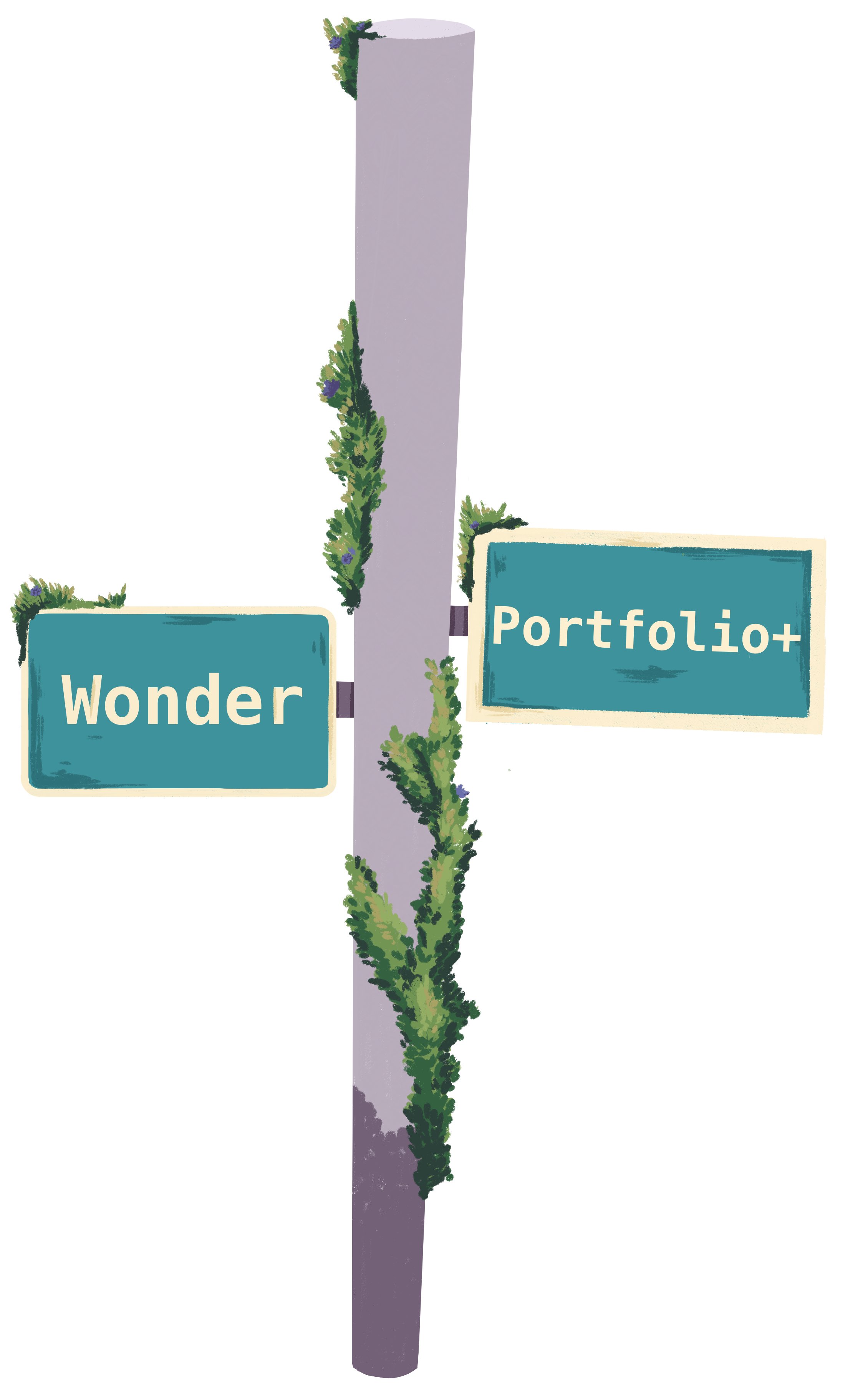 doubelsign